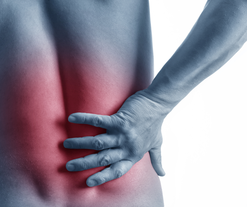 Erwachsene Rückenschmerzen Osteopathie Alexandra Marjanovic München